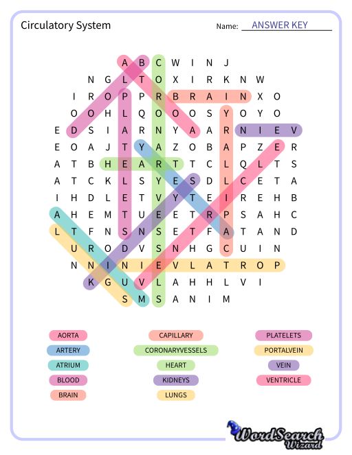 Word Search Puzzle Circulatory System