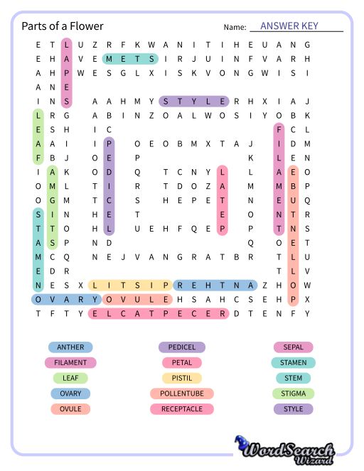 Parts of a Flower Word Search Puzzle