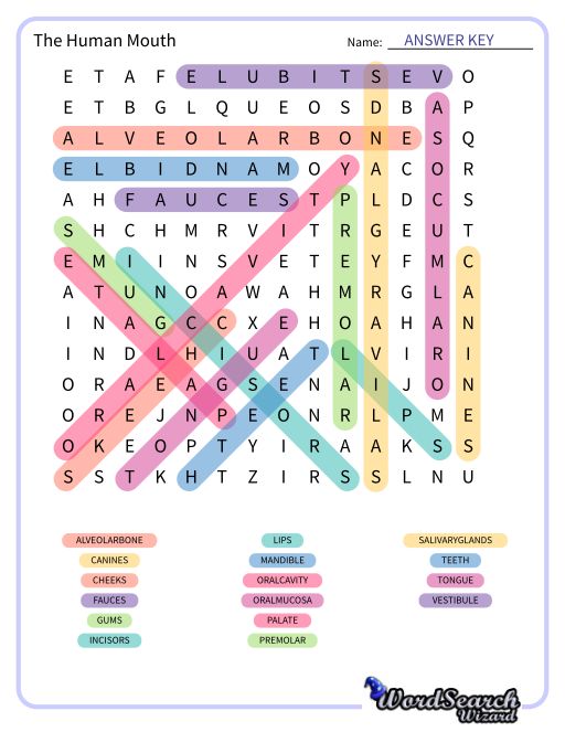 The Human Mouth Word Search Puzzle