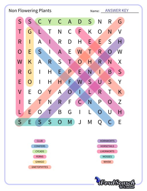 Non Flowering Plants Word Search Puzzle