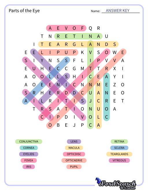 Parts of the Eye Word Search Puzzle
