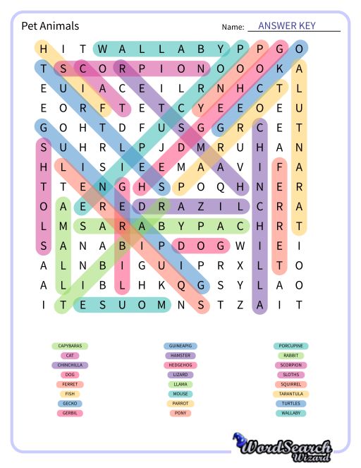 Pet Animals Word Search Puzzle