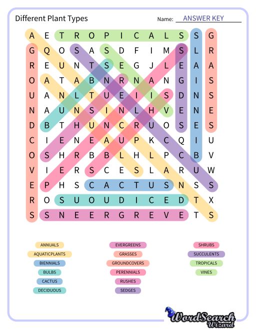 Different Plant Types Word Search Puzzle