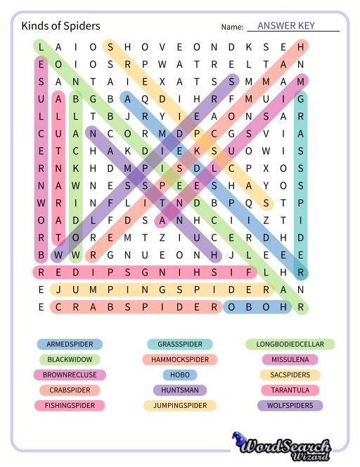 Kinds of Spiders Word Search Puzzle