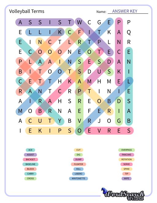 Volleyball Terms Word Search Puzzle
