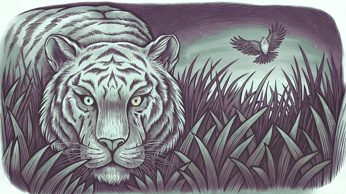 A striped tiger prowling through golden savanna grass.