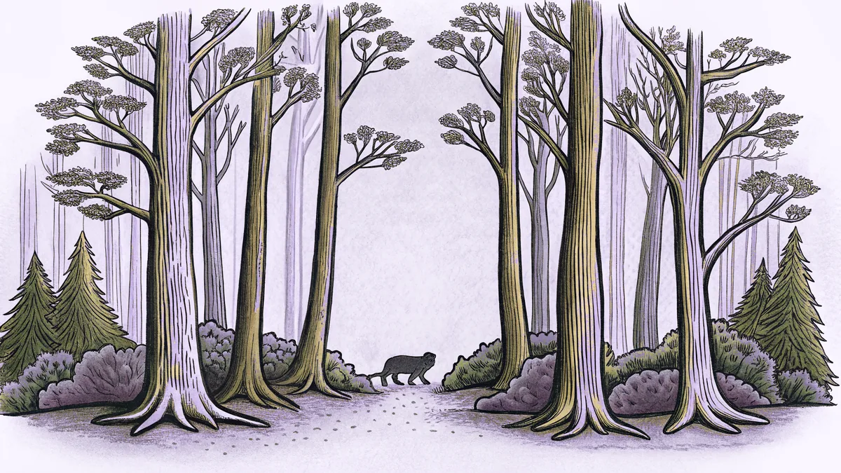 Sacred trees and forest creatures inhabit the spiritual landscape of Cherokee beliefs.
