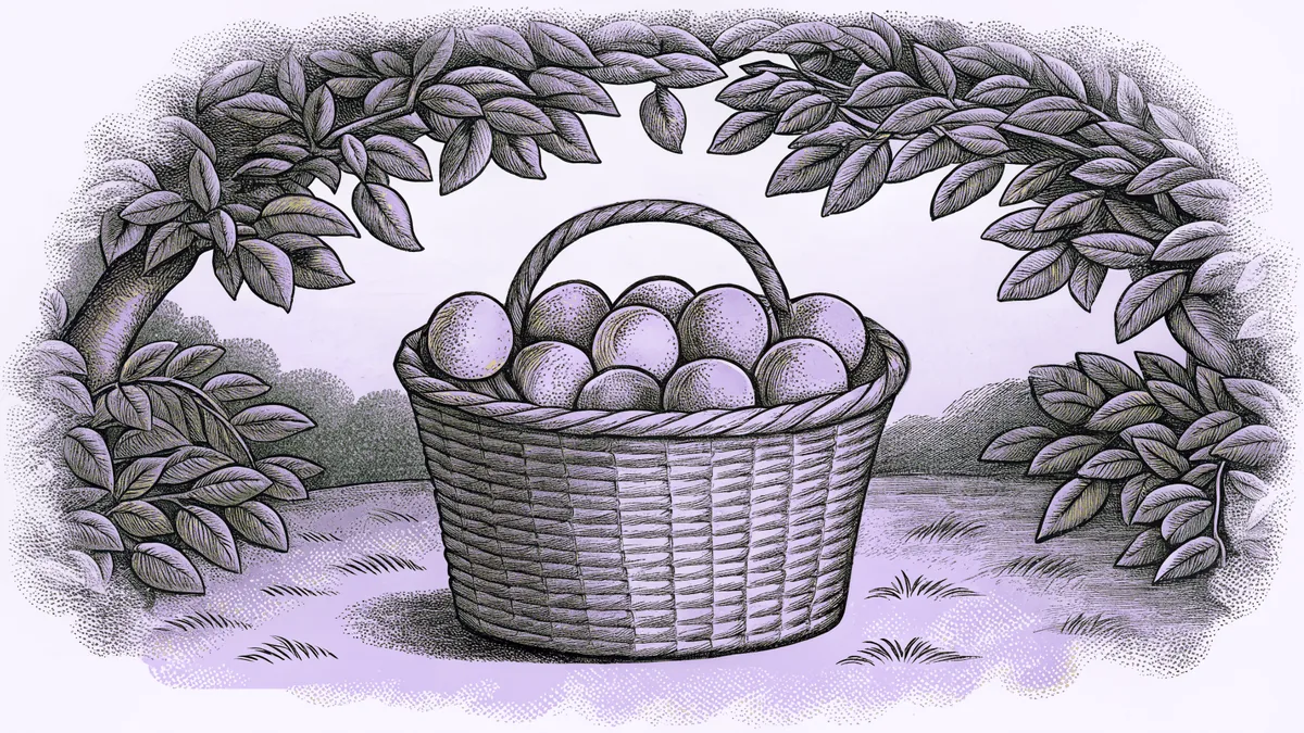 A basket of ripe orchard fruit sits beneath green leafy branches in sunlight.
