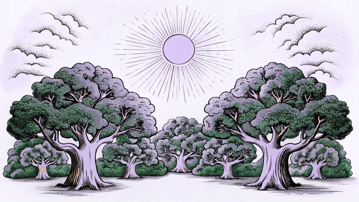Celestial bodies illuminate an ancient forest where pagan traditions endure.