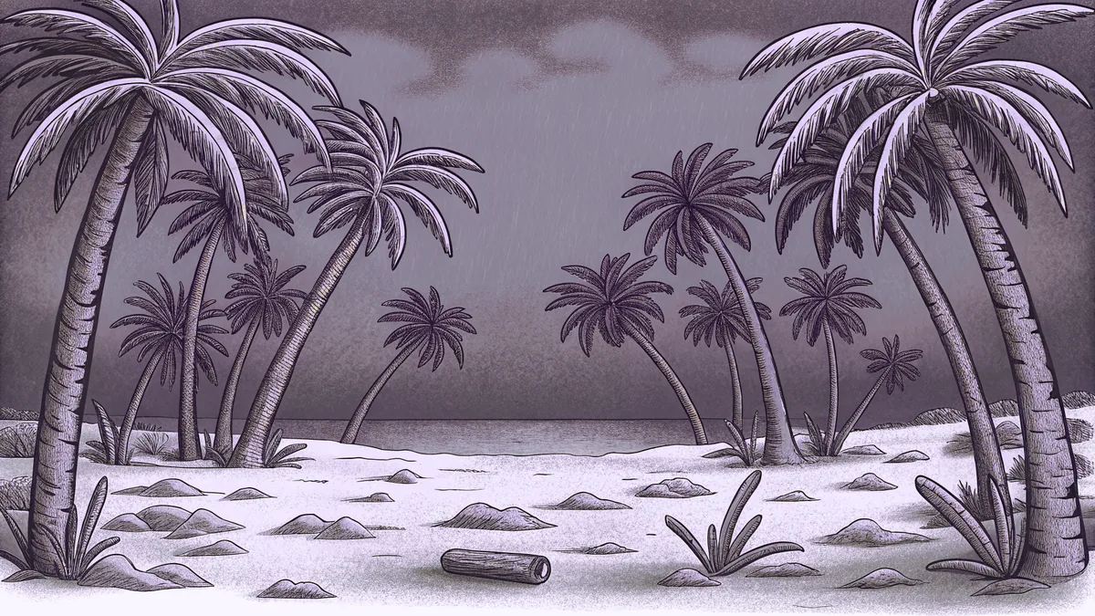A palm-fringed beach holds scattered driftwood across pale sand under a gray sky.