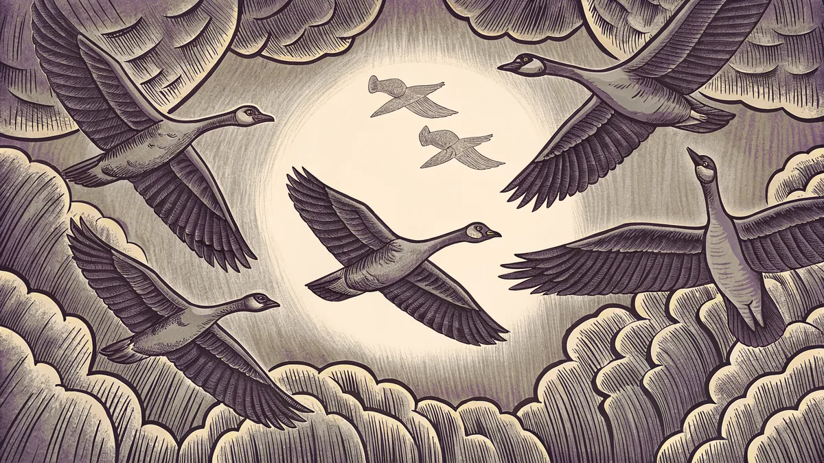 Migrating birds flying south for autumn departure.