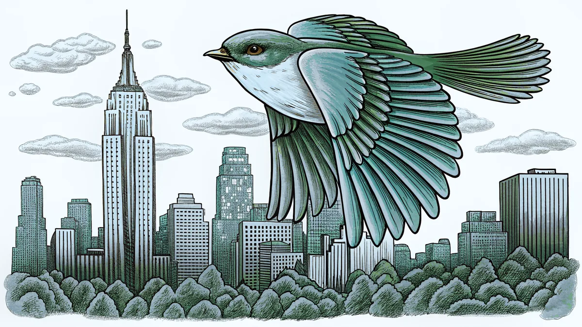 A bluebird soars over Central Park toward the Empire State Building.
