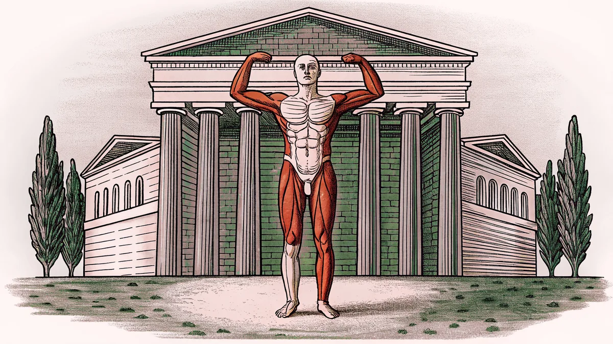 An anatomical figure on a wooden base shows the layered muscles of the arm and shoulder.