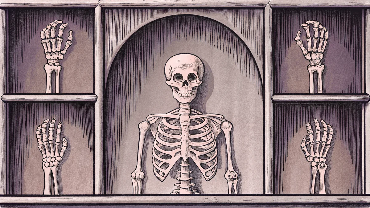 Skeletal anatomy model with individual bones for study
