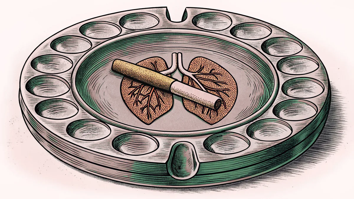 A ceramic ashtray with a cigarette laid across it, beside an anatomical model of lungs.