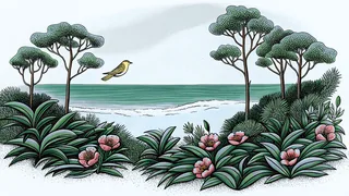 A yellowhammer bird flies among longleaf pine trees with pink camellia flowers blooming near a sandy beach.