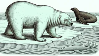 Polar animals including a polar bear, walrus, narwhal, and orca in frozen Arctic waters.
