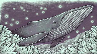 A massive whale breaches beside dolphins with seals resting on nearby ice floes.