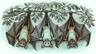 Bats hang upside down in a shadowy cave surrounded by insects and tropical fruit