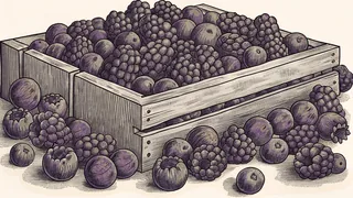 Fresh berries in shades of blue, red, and purple tumble from an overflowing harvest basket.