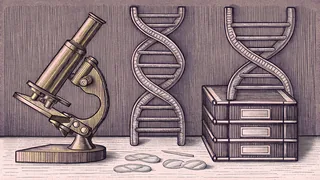 Scientific equipment and models in a laboratory setting.