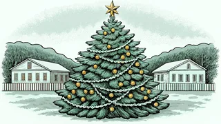 A Christmas tree adorned with ornaments, garland, lights, and a star on top.