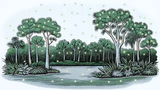 Fireflies dance above Lake Murray lined with graceful palmetto trees.