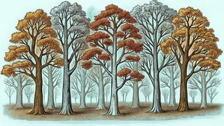 Ancient oak and maple trees tower with blazing orange and gold autumn leaves overhead.