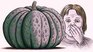 A disgusted person recoiling from a decomposing pumpkin with a covered nose and face.