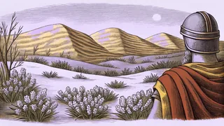 A vast desert of golden dunes stretches beneath a single pale moon.