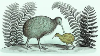 Unique New Zealand birds including a kiwi, kakapo, and other endemic species in native habitat