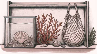 An aquarium and fishing net display shells and coral specimens on a blue backdrop.