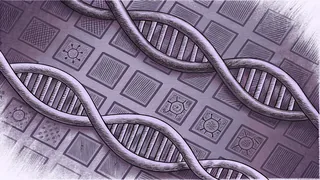 Scientific diagrams of DNA structures and genetic inheritance patterns.