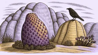A mythical creature and dark bird guard ancient Aboriginal ceremonial sites.