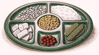 The balanced plate shows healthy portions of grains, vegetables, and dairy foods.