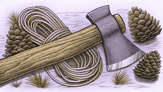 A small hatchet and a coil of rope resting beside four pine cones.