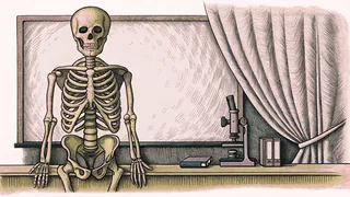 A classroom skeleton model stands beside a microscope and a covered sterile instrument tray.