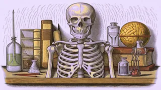 Skeletal anatomy model positioned beside scientific laboratory instruments.