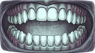 A detailed cross-section diagram of human mouth anatomy with labeled parts.