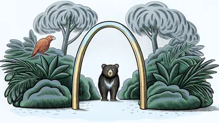 A bear cub beside a cardinal bird at a golden arches restaurant.