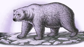 A white bear traverses frozen Arctic landscape under shimmering green lights.