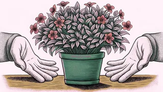 Cupped hands holding out a small potted flower over a wooden table.