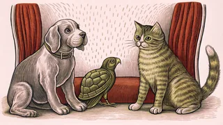 Various pets including dogs, cats, birds, rabbits, fish, and a turtle.
