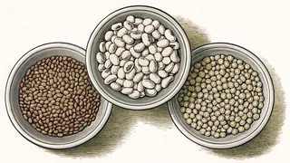 Bowls overflow with assorted legumes—lentils, chickpeas, and beans in natural earth tones.