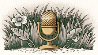 An old-fashioned microphone stands upright in tall grass between a single open flower and a small dove.