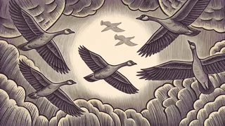 Migrating birds flying south for autumn departure.