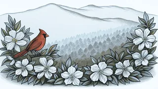 A cardinal rests among dogwood flowers beneath layered mountain ridges.