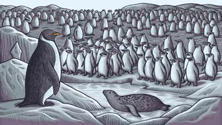 Penguin colony huddled together on ice floes with Arctic wildlife in background.