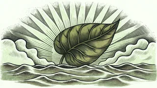 Bright green leaf bathed in sunlight with illustrated arrows indicating water and energy movement.