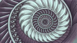 A Fibonacci spiral unfolds alongside geometric sequence patterns and mathematical notation on blank paper.